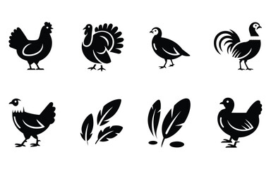 Fototapeta premium Backyard chicken silhouette set, rooster and hen icons, feather accents, poultry show event, homestead class session, agricultural fair poster graphics