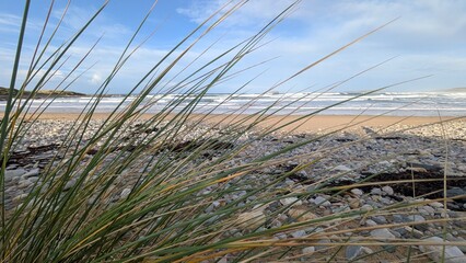Beach grass in foreground with waves along a wild coastline 