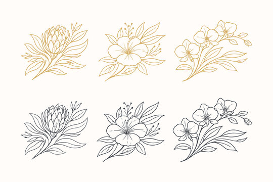 Exotic Botanical Flower Illustration Set with Gold Outlines