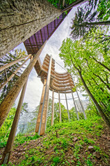 Blick auf das hochragende Holzbauwerk des Baumwipfelpfades Saarschleife bei Orscholz, Saarland