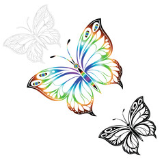 Colorful rainbow butterfly and black and white butterfly outlines on white background