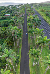Aerial panoramic view of royal palm alley All&eacute;e Dumanoir near Capesterre-Belle-Eau - Caribbean island Guadeloupe