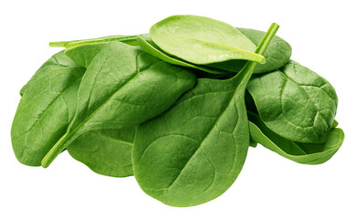 Spinach isolated, full depth of field
