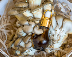 High-Performance Mushroom Serum with Gold Dropper Nestled in Fresh Oyster Mushrooms. Concept of Apoptogenic Skincare, Fungi-Derived Bio-Actives, and Molecular Skin Repair for Beauty Industry Campaigns