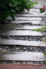 Stone path in the backyard garden with trees along the sides