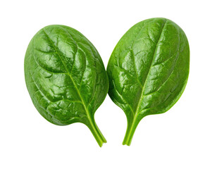 Close-up of two vibrant green, fresh spinach leaves, isolated against a solid black background