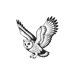 Obraz premium Flying Owl Line Art Illustration