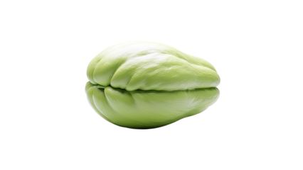 Single Green Chayote Squash