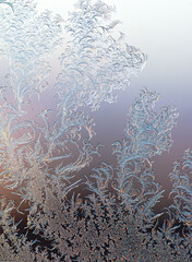 Intricate Frost Pattern on Window Glass
