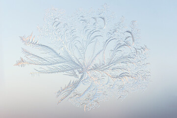Flower Bloom Frost Crystal on Window