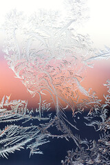 Cascading Tree Frost in Vibrant Gradient