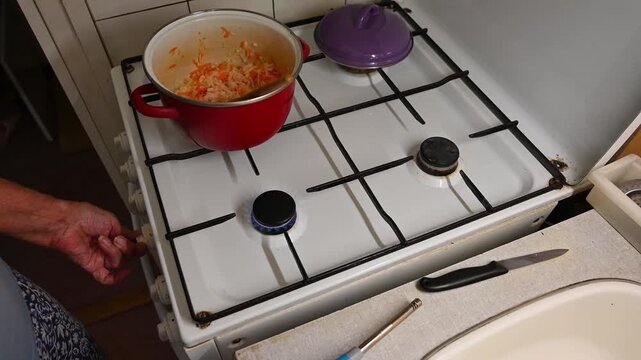 Woman cutting and preparing vegetables at home in the kitchen. Concept for cooking and food preparation.