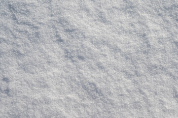 Obraz premium Close-up of clean powdery snow surface on a sunny day. Natural winter background with crystalline structure. Copy space