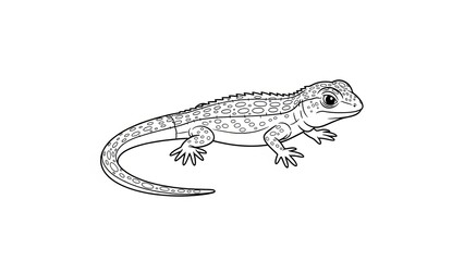 Detailed illustration of a lizard with distinctive spots and spiky back