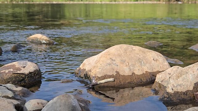 Time lapse of a small mineral-encrusted twig resting on a large brown river rock in a shallow stream with clear water flowing and reflections of the surrounding trees.