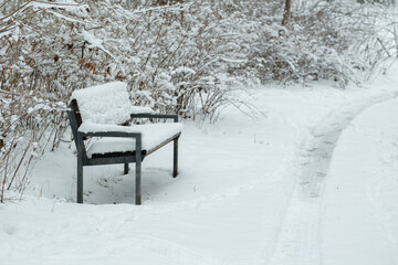 A lonely bench in a city park, densely covered with fresh white snow. The peace and tranquility of a winter morning, snow-covered bushes and a trail.