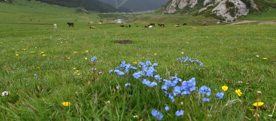 Wundervolle Landschaft im Hochland des Tian-Schan-Gebirges 