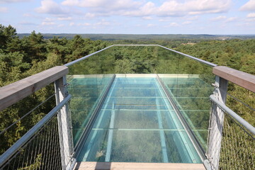 Skywalk im Baumwipfelpfad Heidehimmel in der L&uuml;neburger Heide