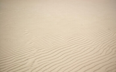 Fototapeta premium Minimalist sand texture with natural ripples, creating a calm and abstract background.