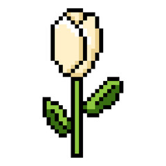 Obraz premium Vector Pixel Art Icon of White Tulip