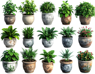 3D model of a collection of potted plants, featuring different types and sizes, in po