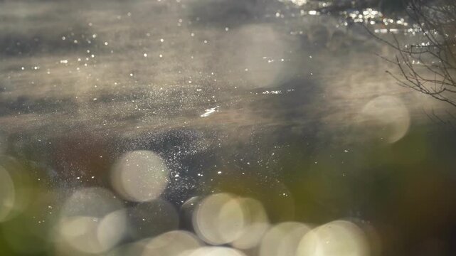 Holland, Particals, Dust, Water