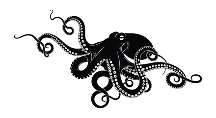 A collection of detailed black and white octopus illustrations in various poses © MdNirob