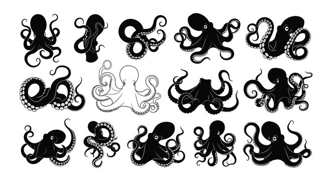 A collection of detailed black and white octopus illustrations in various poses