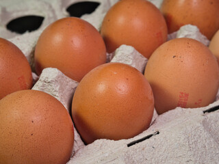 Close-Up Macro of Fresh Brown Eggs in Carton; Macro shot of organic brown chicken eggs nestled snugly in a gray recycled paper carton, emphasizing texture, freshness, and natural food concepts.