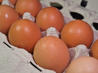 Close-Up Macro of Fresh Brown Eggs in Carton; Macro shot of organic brown chicken eggs nestled snugly in a gray recycled paper carton, emphasizing texture, freshness, and natural food concepts.