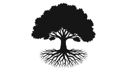 Silhouette of Tree with Visible Roots.