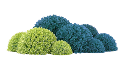 Green Bushes in Varying Shades and Sizes
