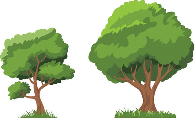 Green leafy tree illustration set featuring small and large trees with lush foliage isolated on white background nature vector design