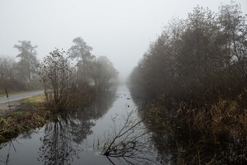 neat rows of trees including pollard willow either side of drainage water ditch in wildlife nature area in Netherlands. Grey misty day in Dutch countryside with cycle path and walking path just visibl