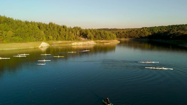 Rowing athletes training on lake water at sunset. Sculling boats on calm reservoir surface surrounded by green forest trees.