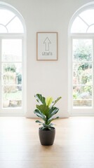 Potted plant and growth poster in bright minimalist room