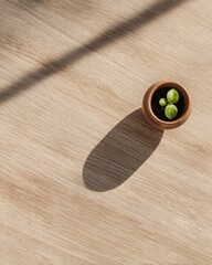 Top down view of a clean wooden table with a single green sprout in a small clay pot and a sun-dial shadow. 
