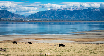 great salt lake city view