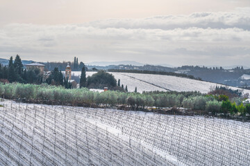 Fototapeta premium Snowy Vineyards and Church in Montefiridolfi, Chianti, Tuscany