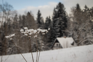 Winter landscape with small house