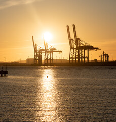 Fototapeta premium Industrial port cranes silhouetted against sunset sky.