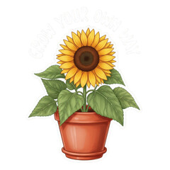 Obraz premium Vibrant sunflower in terracotta pot isolated on transparent background