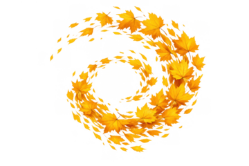 Autumn maple leaves spinning in a vibrant swirling vortex motion, falling in seasonal windy weather