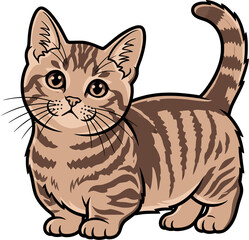 Flat vector illustration of a cat isolated on white background