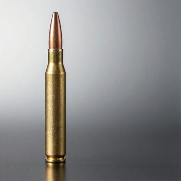 Large-caliber sniper bullet with a matte brass casing and copper tip, standing upright on a gray gradient surface