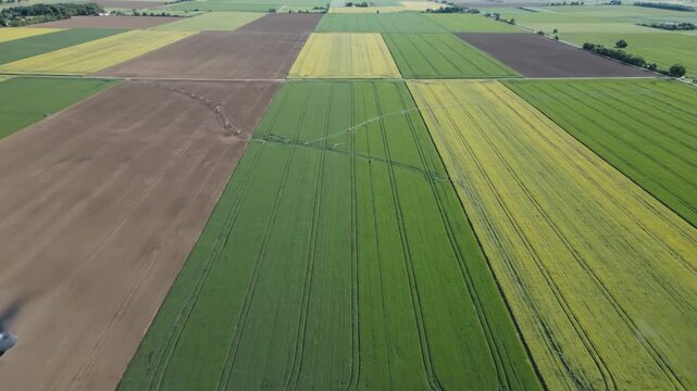 Aerial agricultural fields 4K video. A straight-down drone view of cultivated farmland revealing patchwork patterns and orderly field divisions.