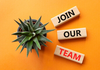 Join our team symbol. Wooden blocks with words Join our team. Beautiful orange background with succulent plant. Business and Join our team concept. Copy space.