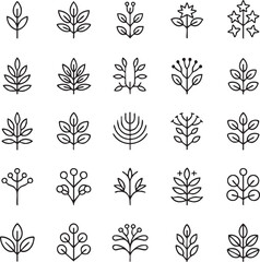 Collection of black and white leaf and plant leaf plant botanical nature line simple plants