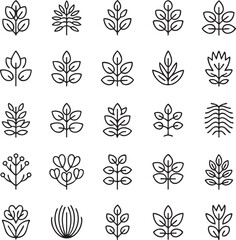 Collection of black and white line of leaves and plants