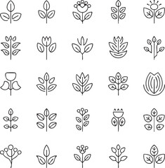 Line of Various Plants and Flowers in Grid Pattern 1